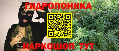 прущие крисы Комсомольск-на-Амуре