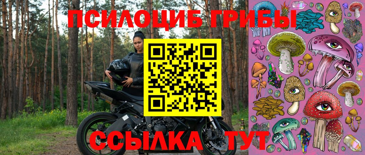 Псилоцибиновые грибы прущие грибы Кимовск
