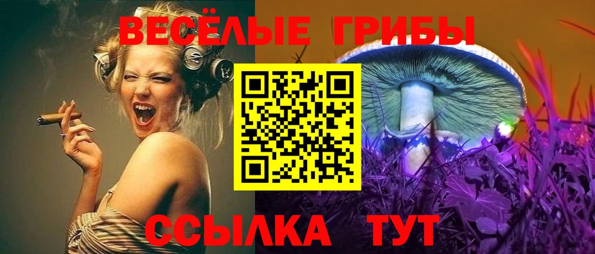 Кимовск  Галлюциногенные грибы мицелий  Вход с VPN 