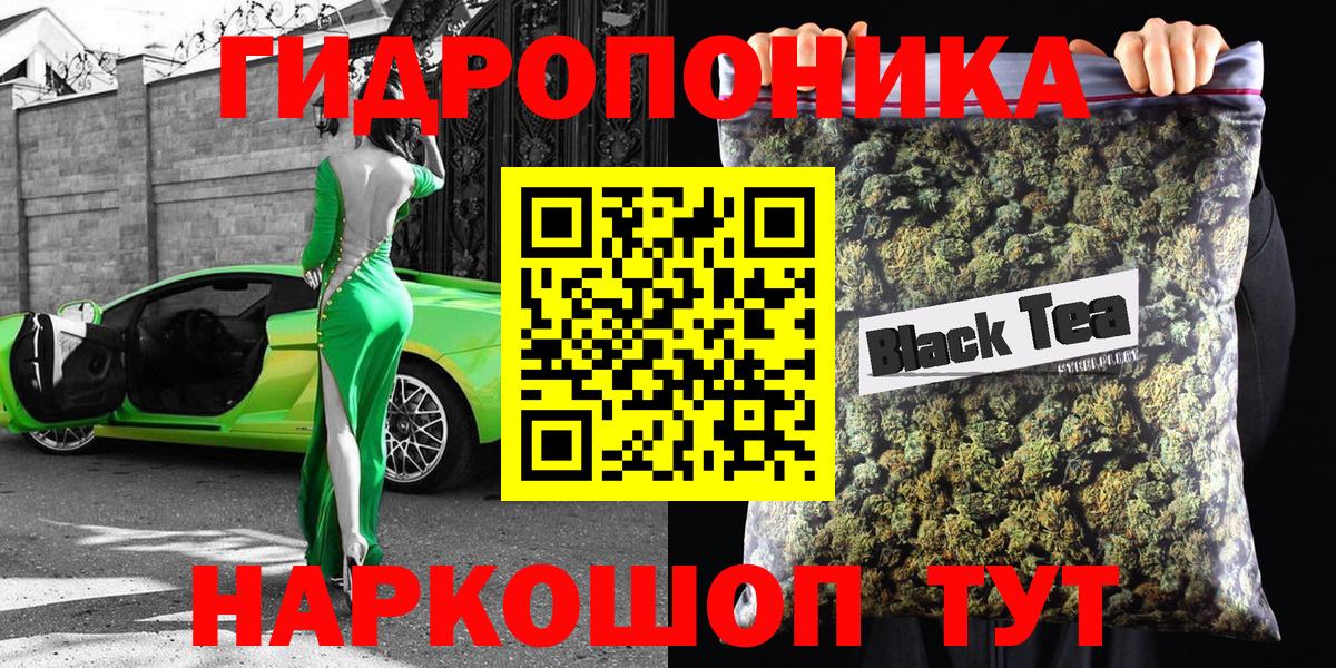 Конопля сатива Кимовск